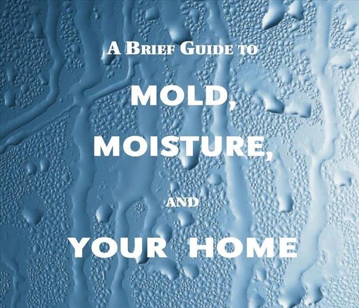 EPA Booklet about mold
